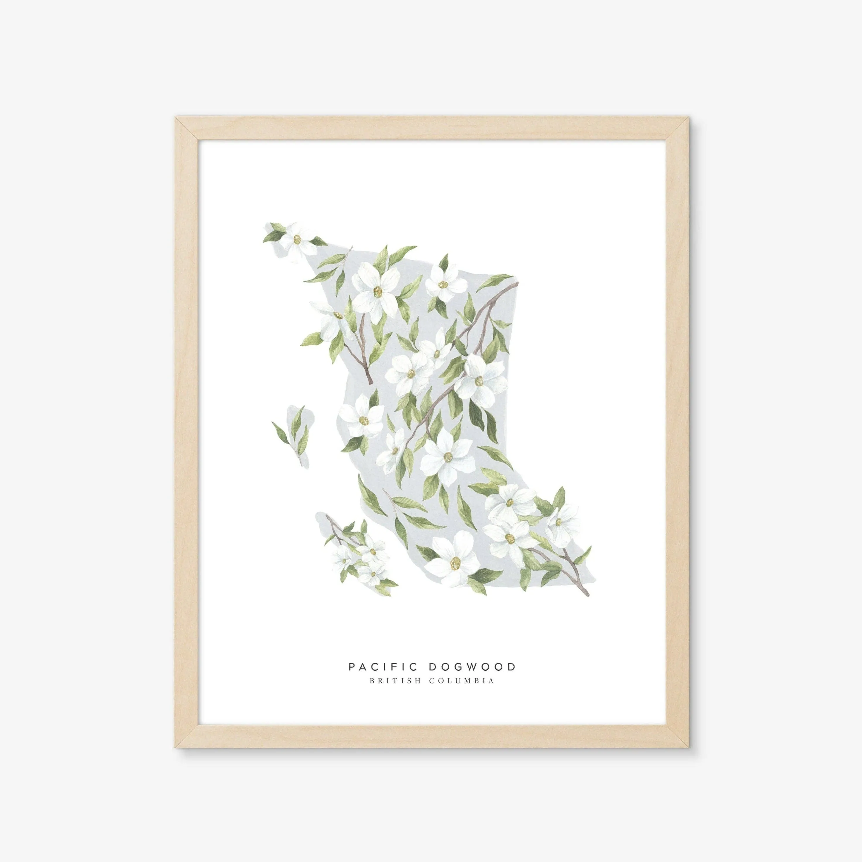 British Columbia Dogwood | Art Print