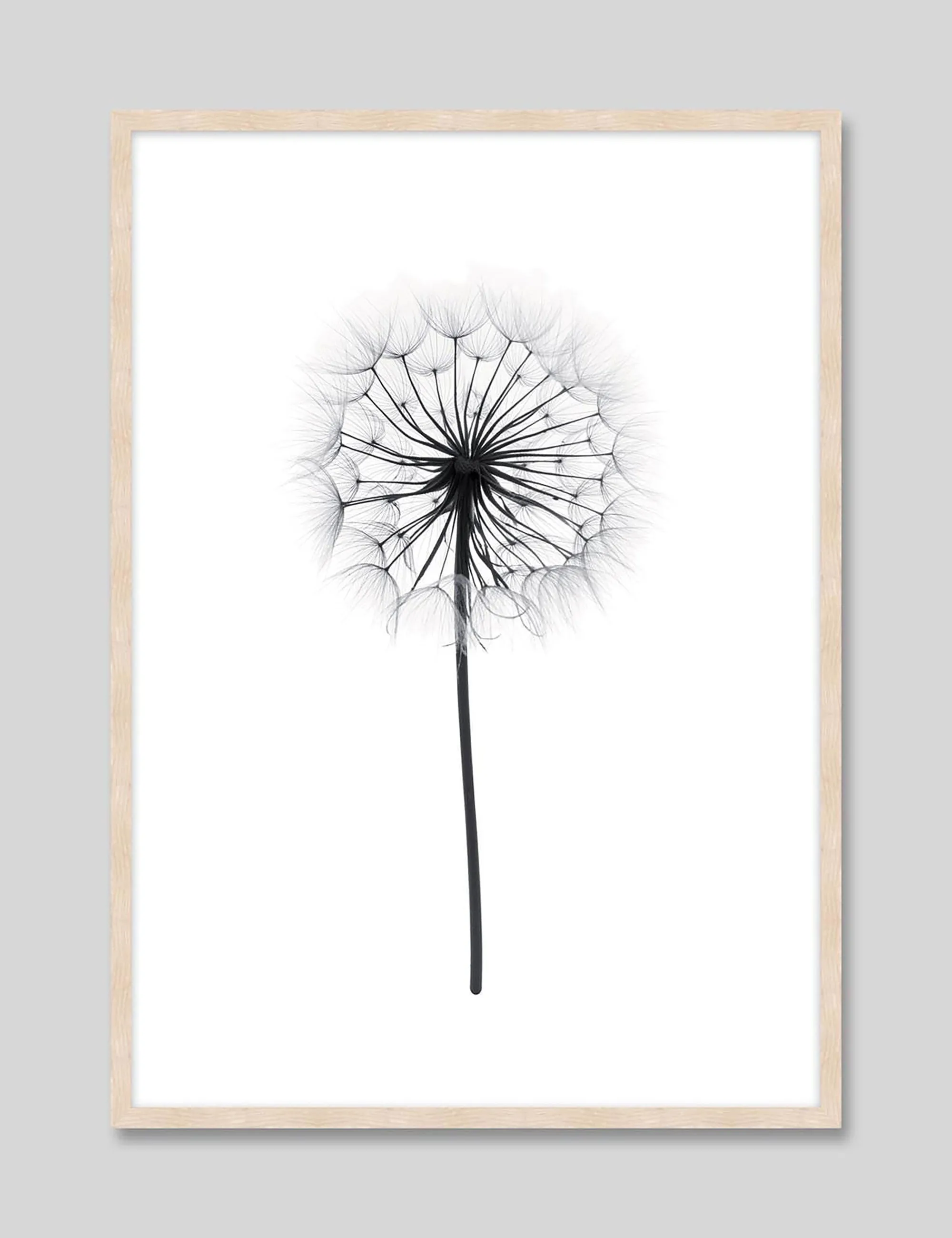 Dandelion