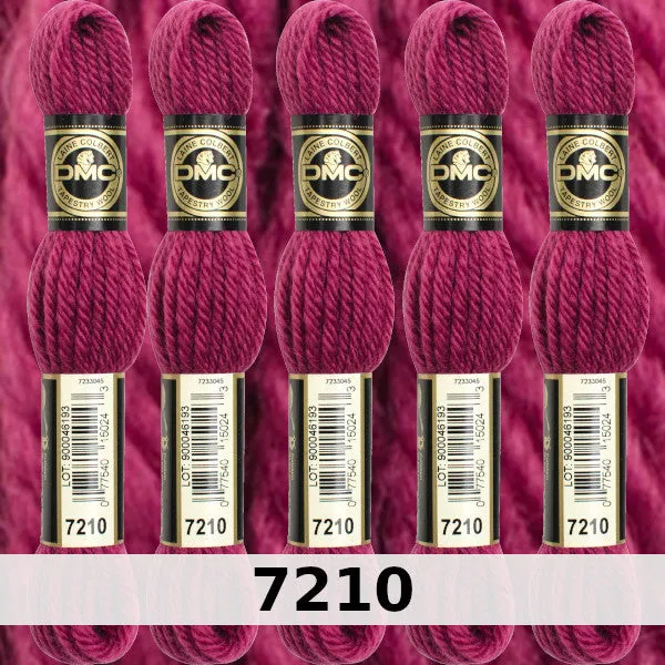 DMC Tapestry Wool 1 - Columns 1, 2, 3, and 4 on shade card