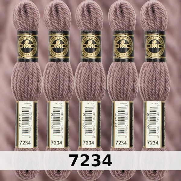 DMC Tapestry Wool 5 - Columns 17, 18, 19 and 20 on shade card