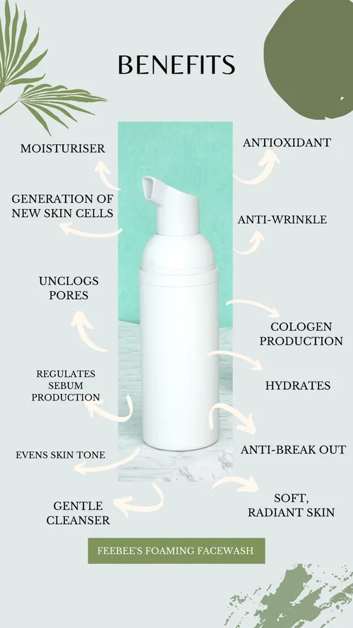 Forager Skin and Tonic Foaming Face Wash