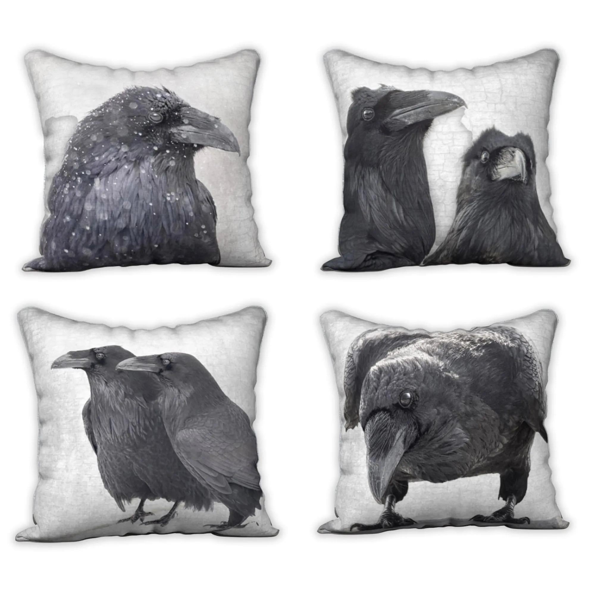 QUOTH THE RAVEN NEVERMORE — Raven Cushion Cover — SALE