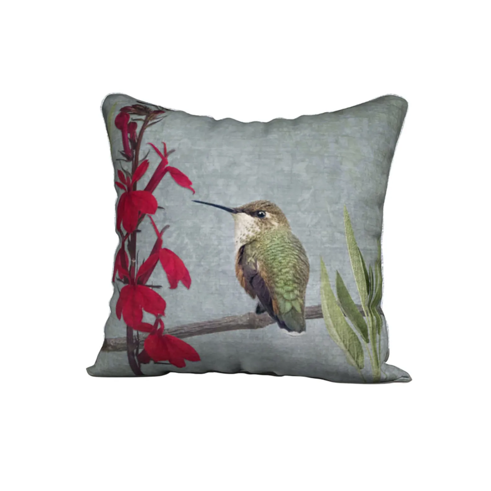 RUFOUS HUMMINGBIRD — Bird Cushion Cover — SALE