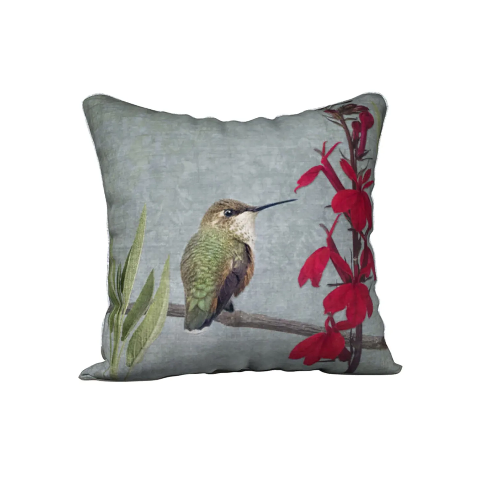 RUFOUS HUMMINGBIRD — Bird Cushion Cover — SALE