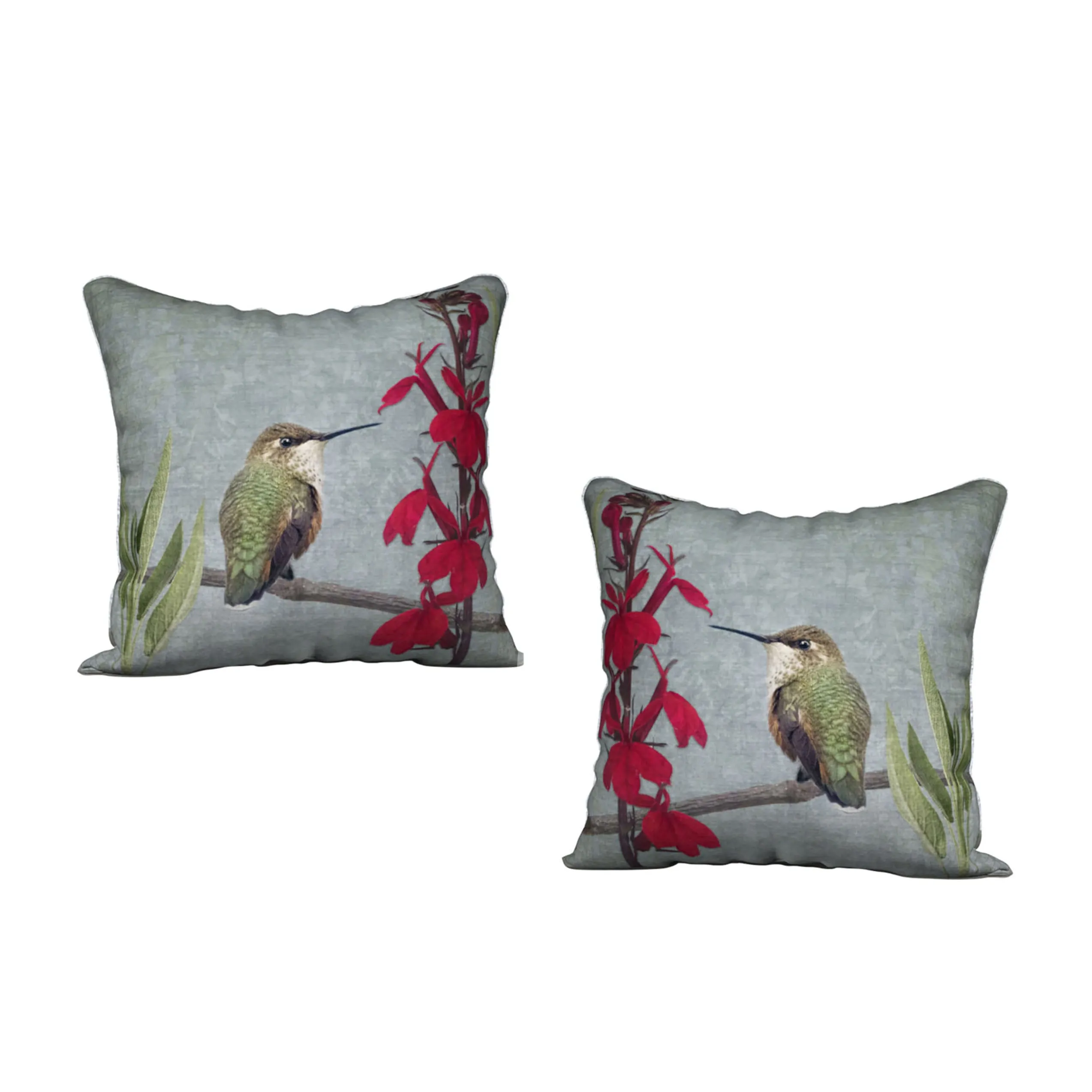 RUFOUS HUMMINGBIRD — Bird Cushion Cover — SALE