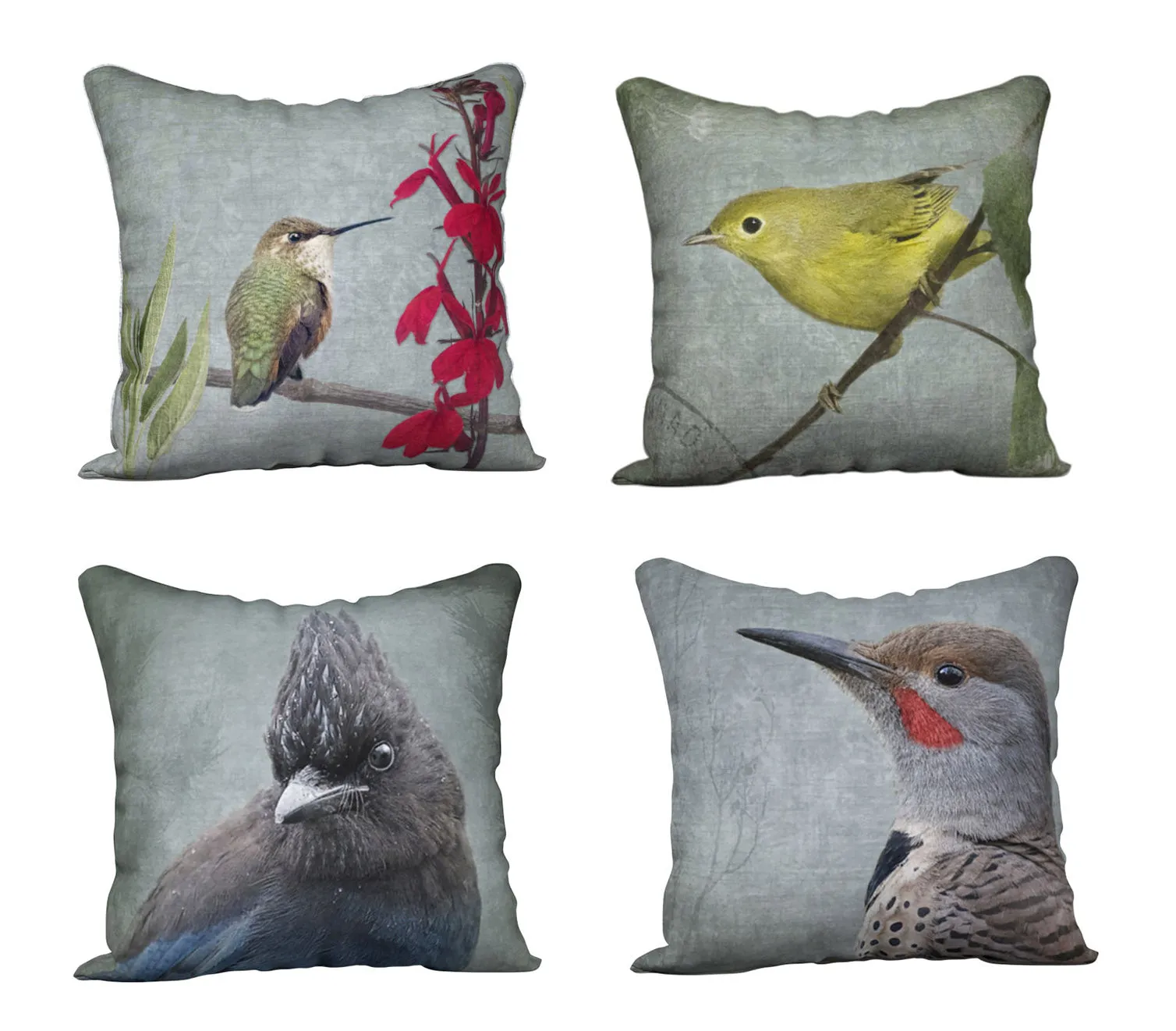 RUFOUS HUMMINGBIRD — Bird Cushion Cover — SALE