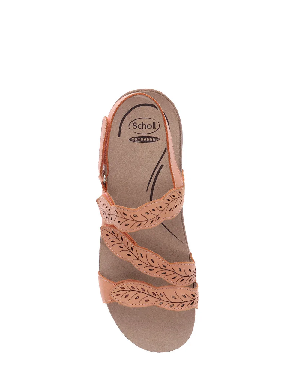 Scholl Able ll Apricot Leather Sandal