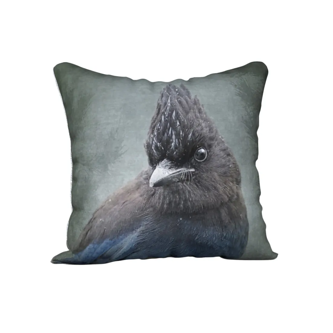 STELLER'S JAY — Bird Cushion Cover —SALE